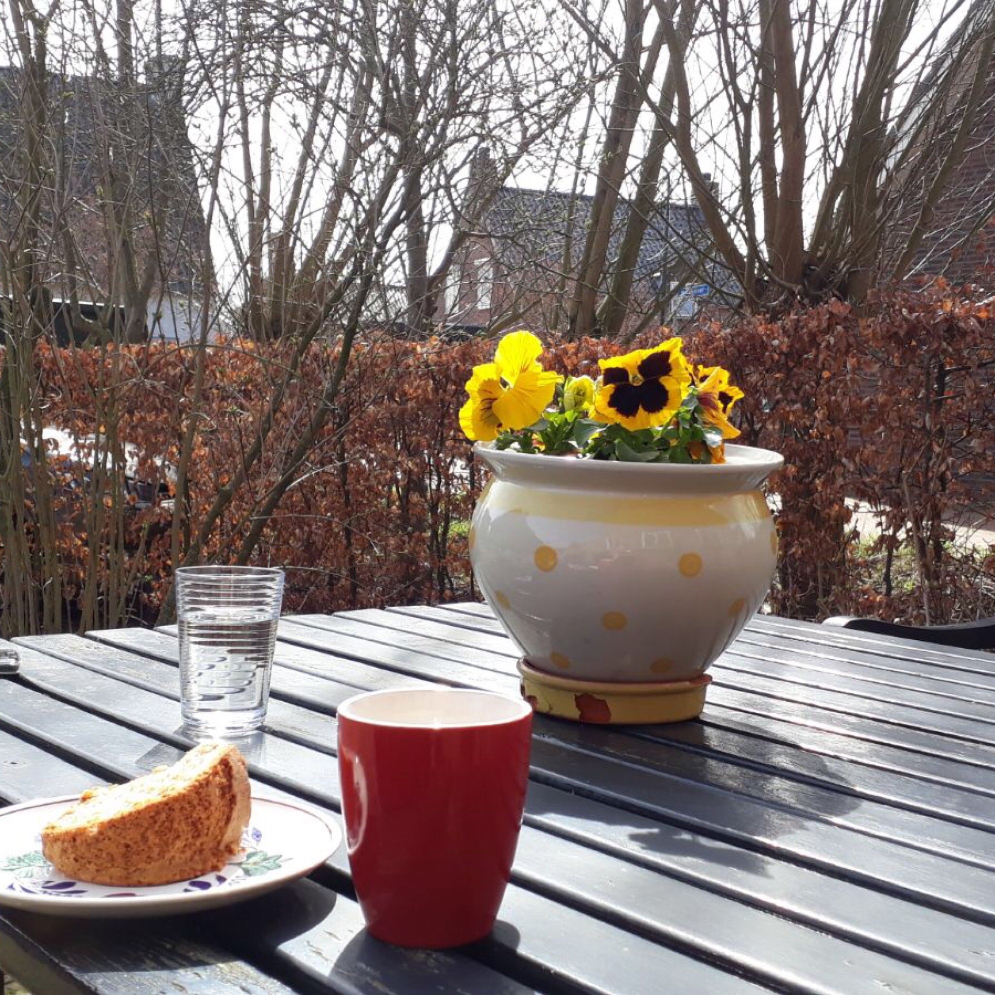 Boerderij en Bakhuis-官方
