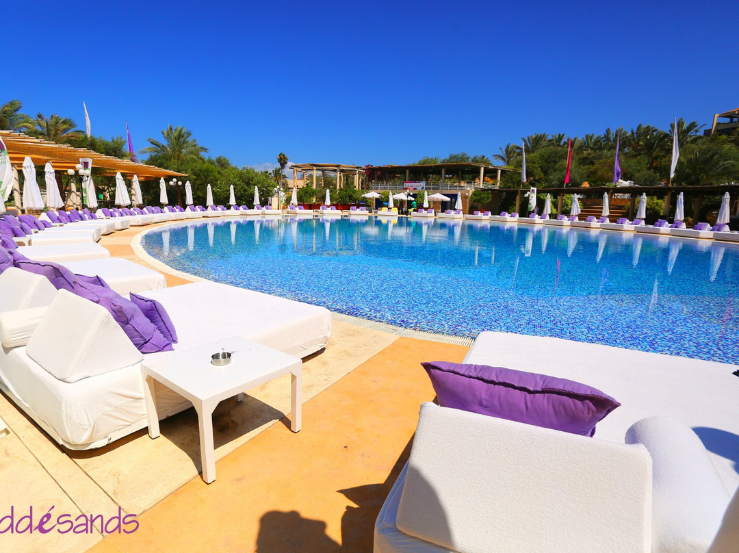 EddeSands Hotel & Wellness Resort主图