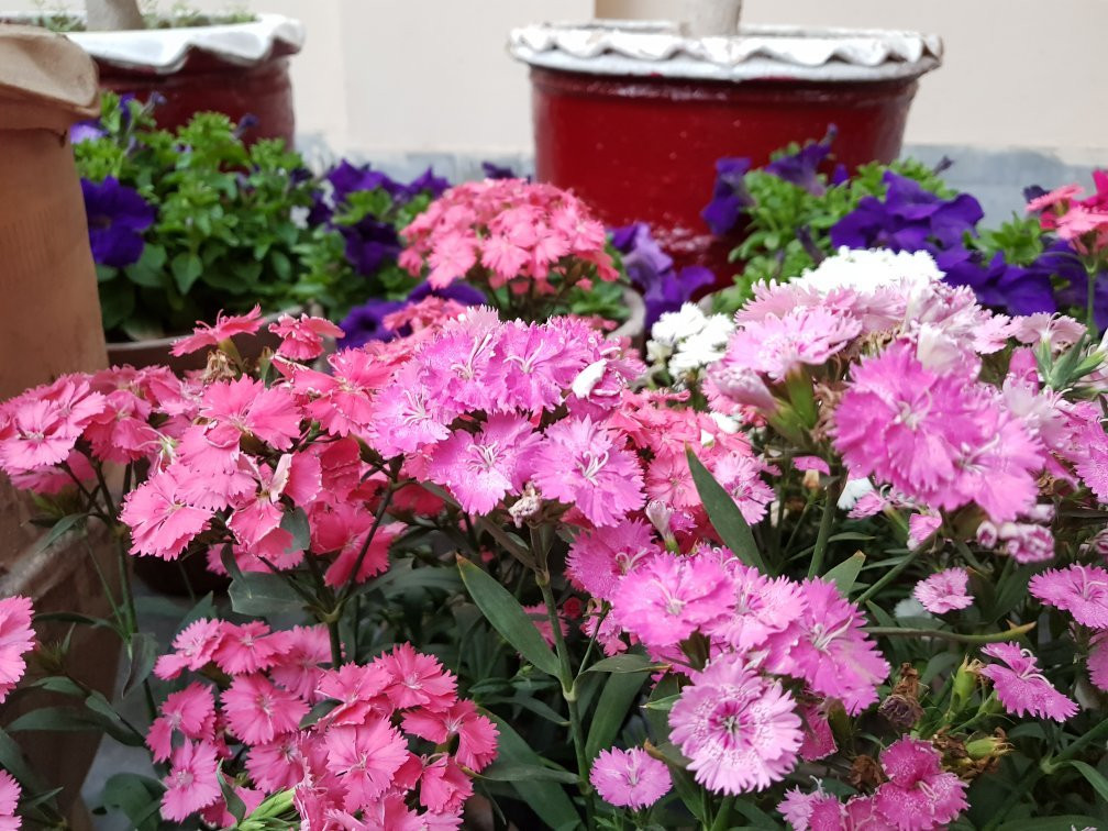 佛塔里斯木尔坦酒店主图