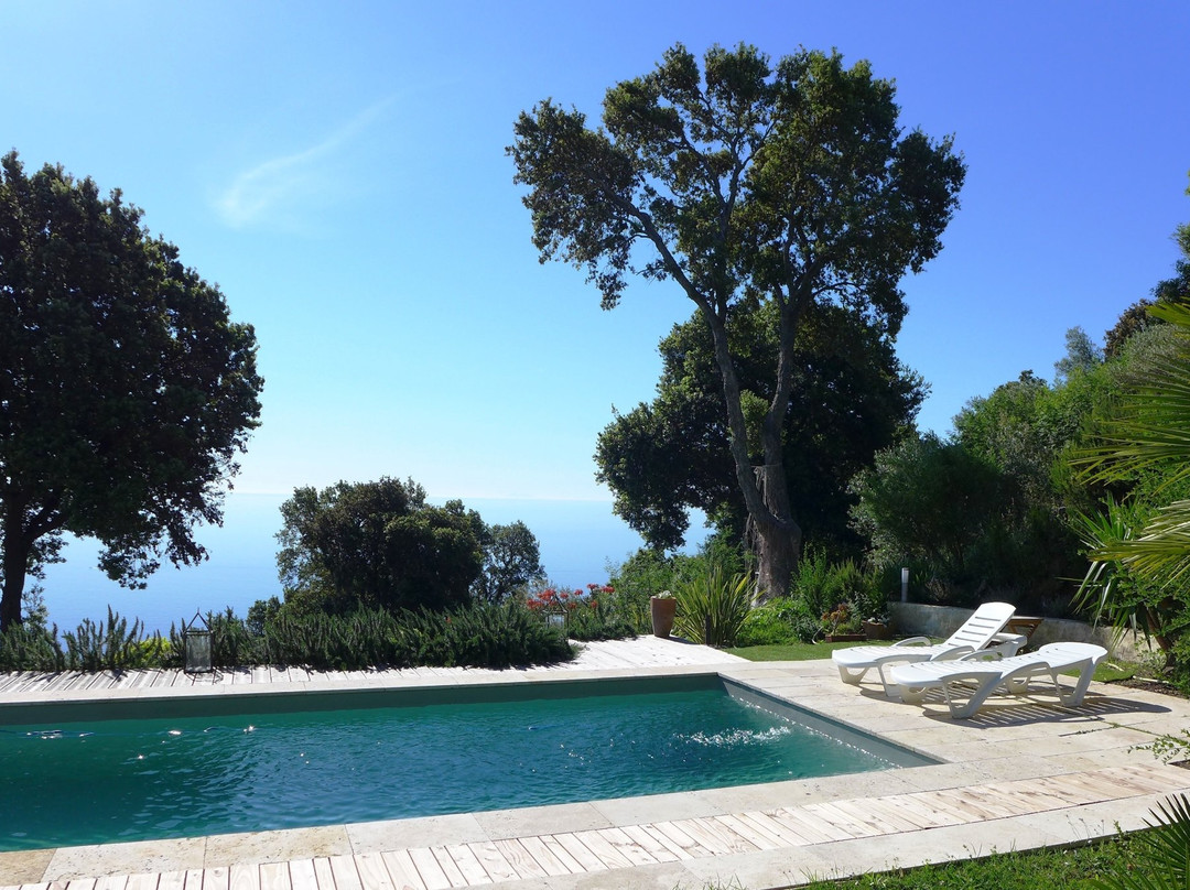 Villa Elisabeth主图