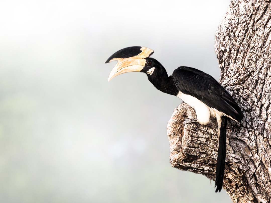 Go Yala Safari Tours-蒂瑟默哈拉默必去景点