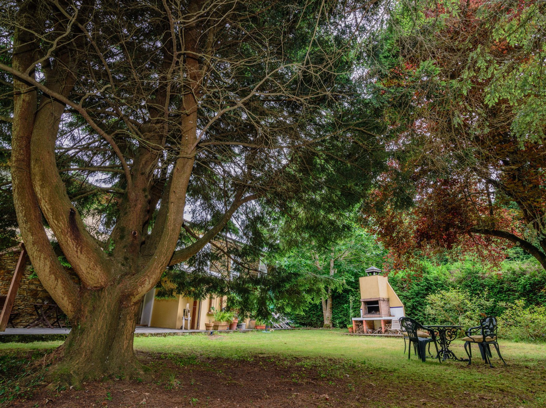 La Casa del Burrero主图