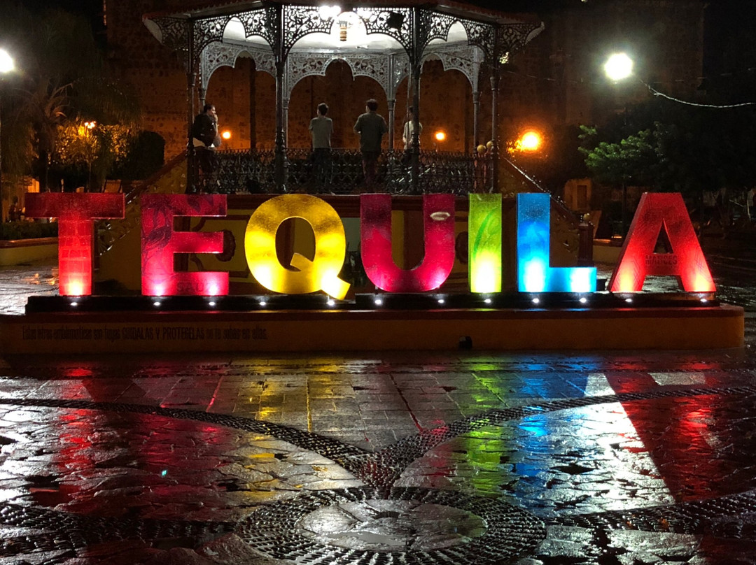 Experience Agave-特基拉必去景点