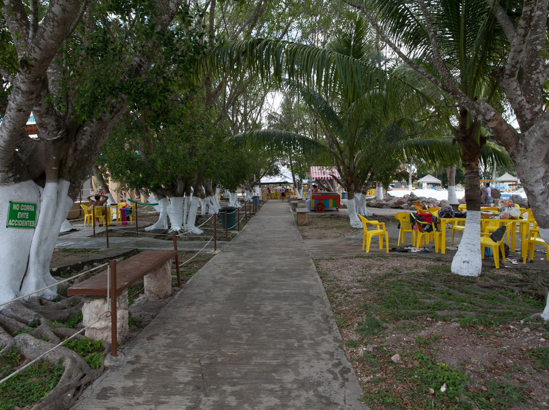 Rio Salvaje-梅里达必去景点