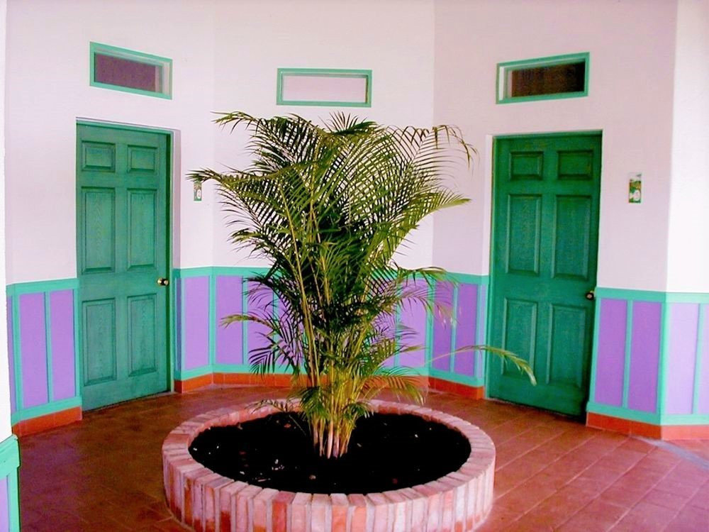 Finca Hotel Casaroma主图