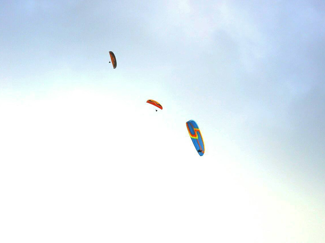 Flyxtreme Adventure-Bacoor必去景点