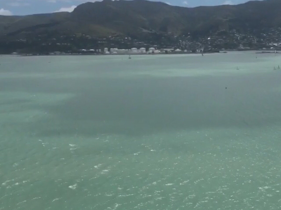 Diamond Harbour Lodge主图