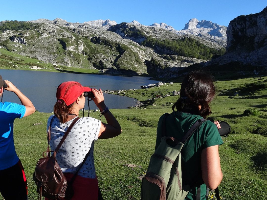Birdwatch Asturias景点图片