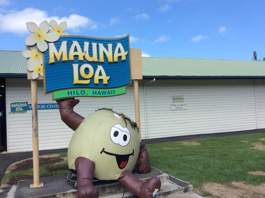 Miranda's Big Island Tours-欧卡拉必去景点