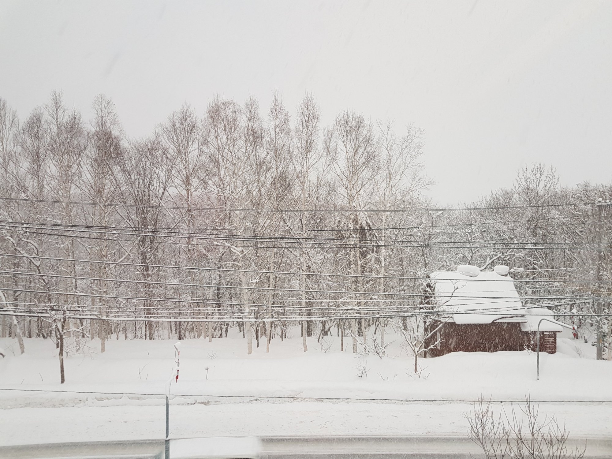 Always Niseko-酒店景观