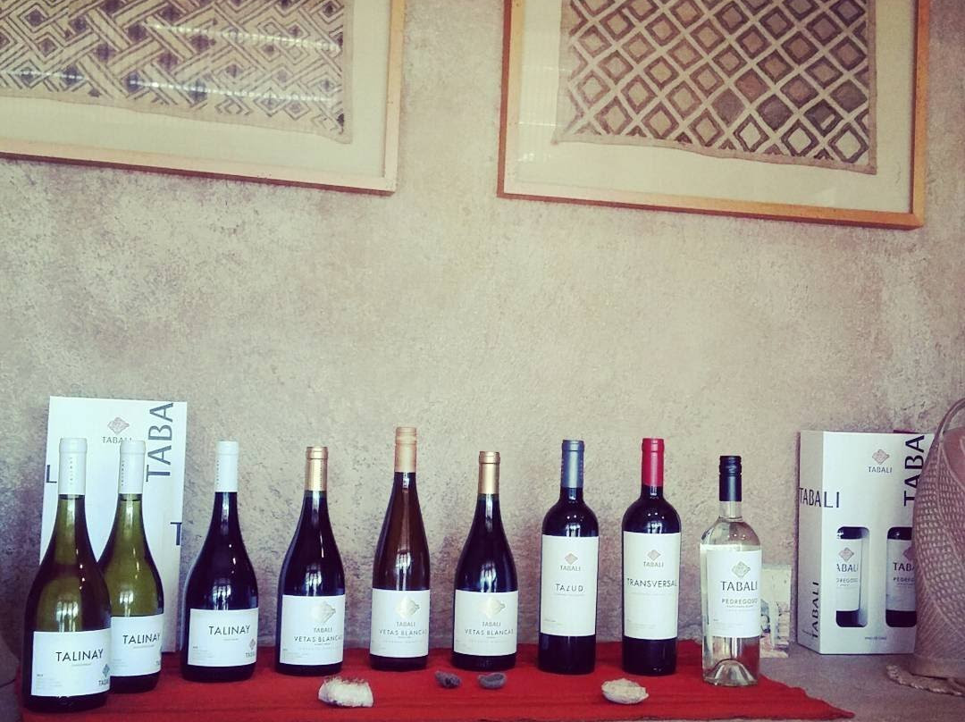 Vina Tabali-Ovalle必去景点