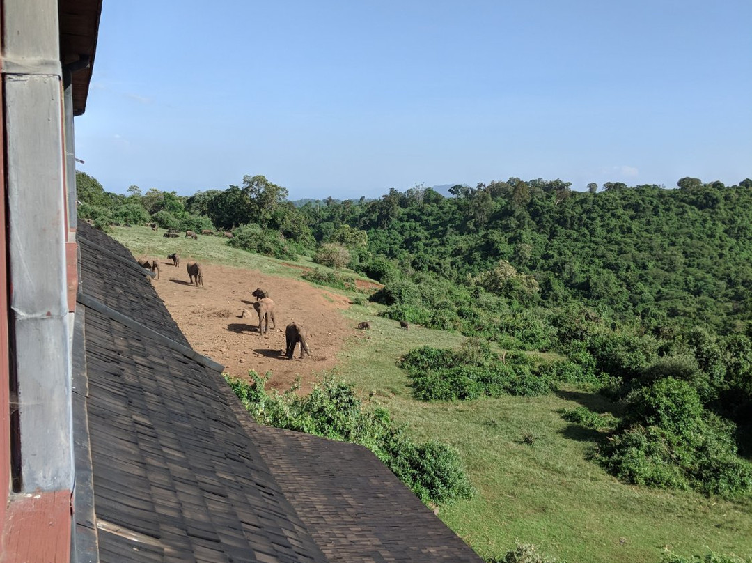 方舟山林小屋主图