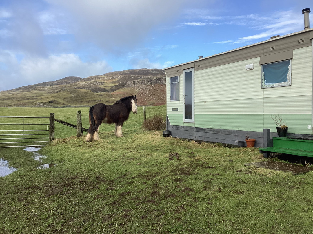 Canna Campsite