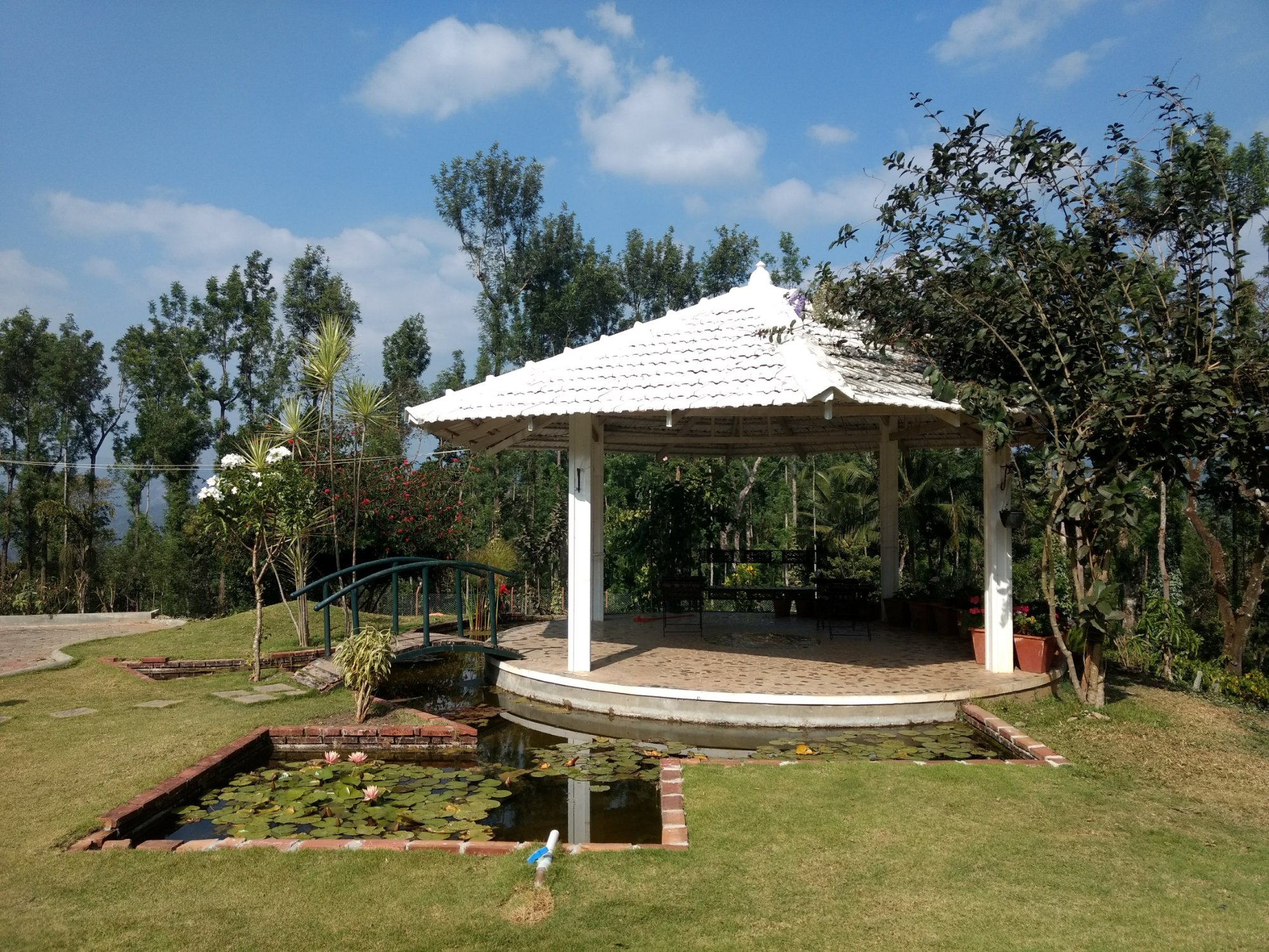 Green Petals Home Stay-官方
