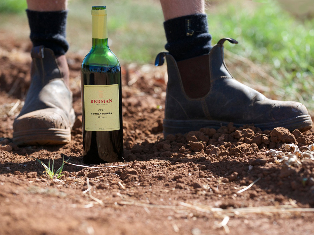 Redman Wines-Coonawarra必去景点