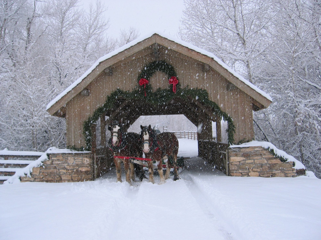 Covered Bridge Ranch景点图片