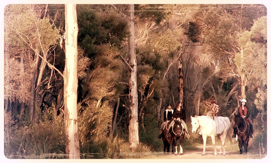 Brumbies Run-丹麦必去景点