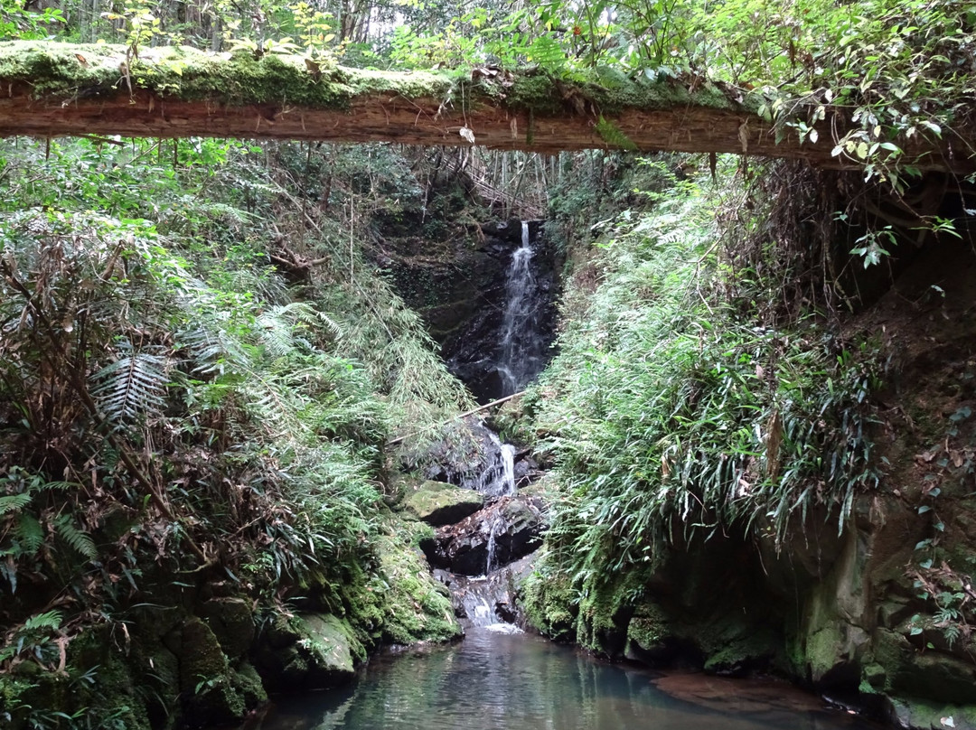 安艺市旅游景点-Ioki Cave