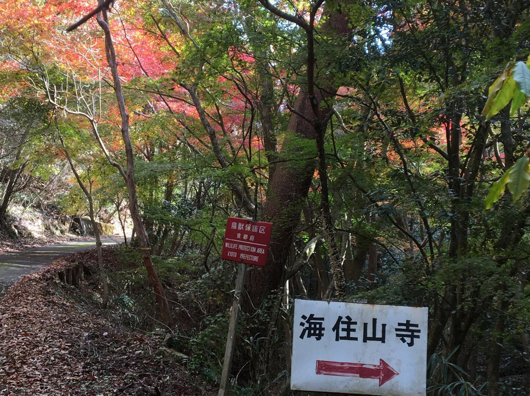 Yamashirocho Shinrin Park-木津川市必去景点