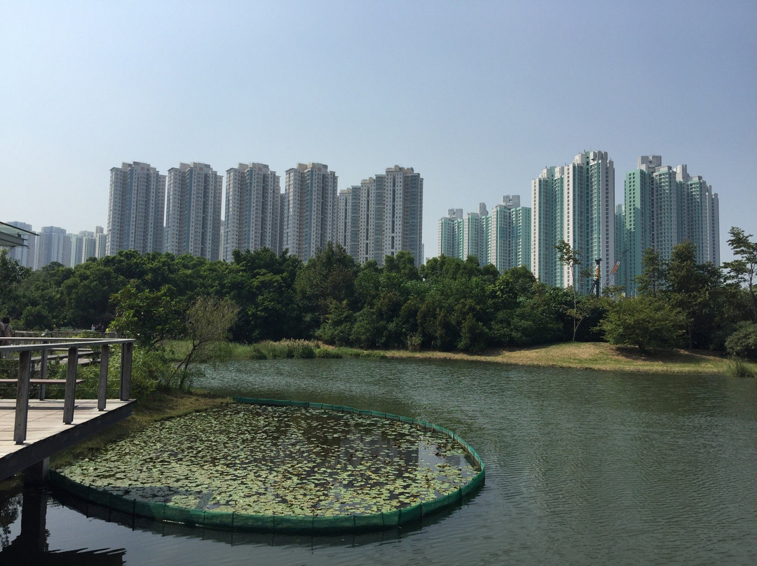 香港湿地公园景点图片