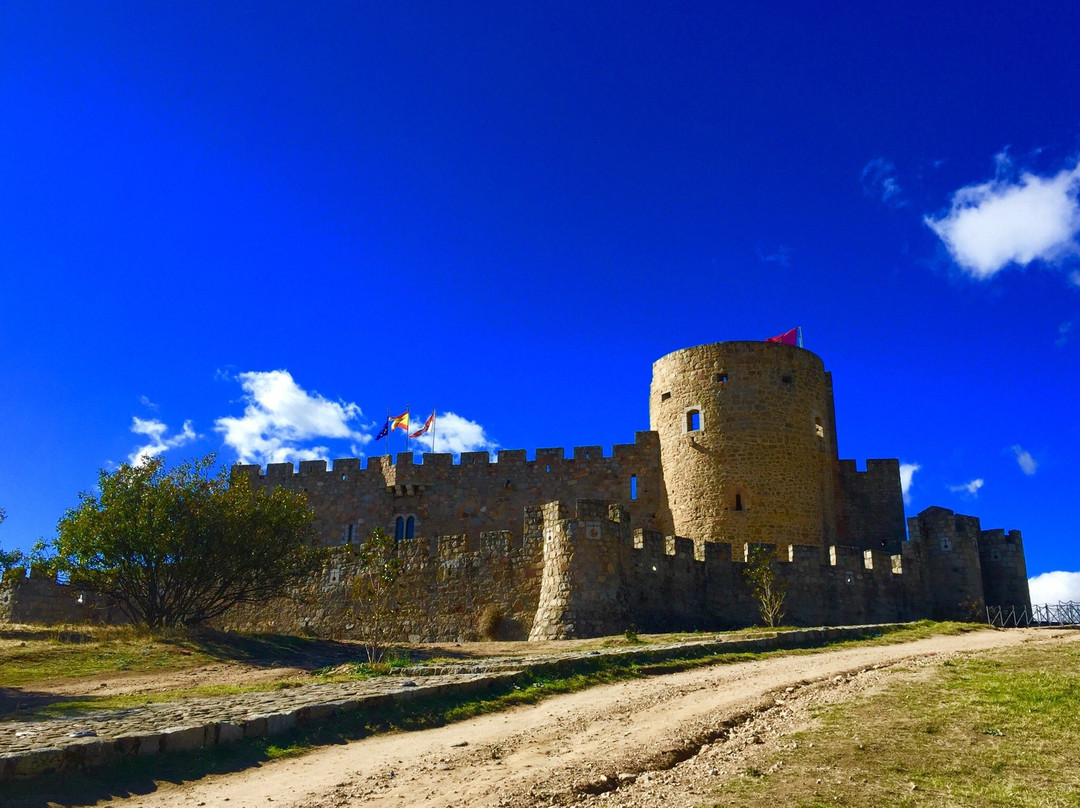 Castillo de La Adrada景点图片