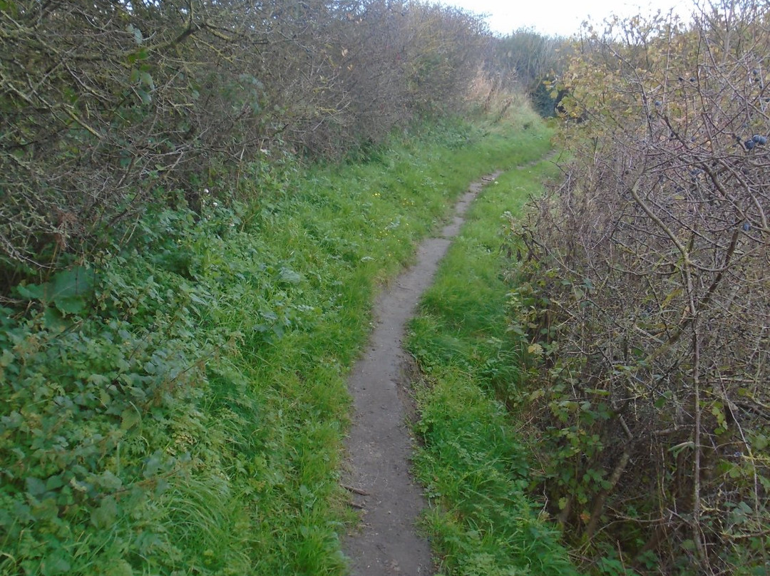 De Fonteintjes-布鲁日必去景点