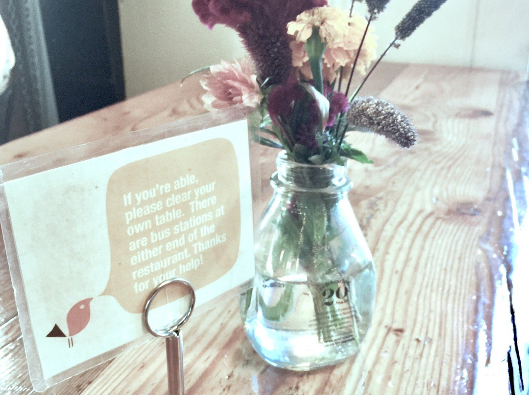 The Earth Store-Nevada City必去景点