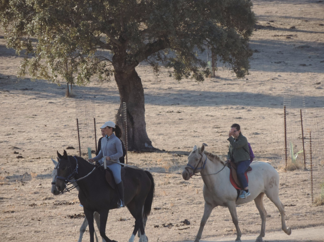 Activities Barbancho - Horseback Riding景点图片