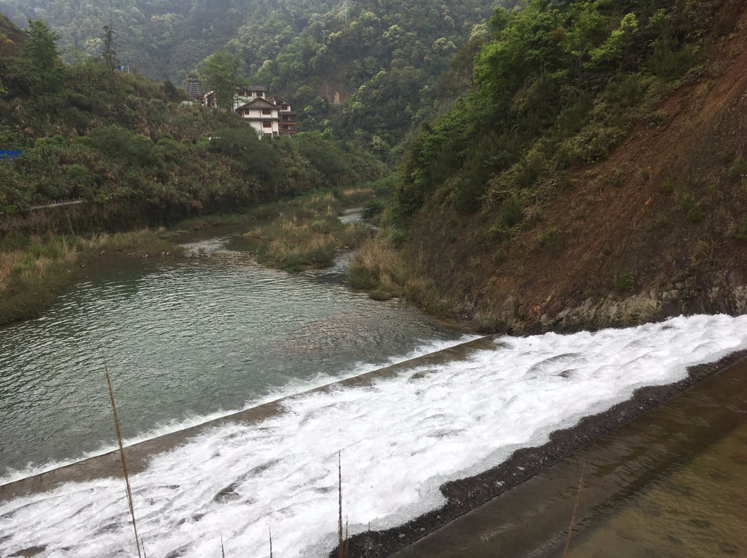 广西桂林森林公园-桂林市必去景点