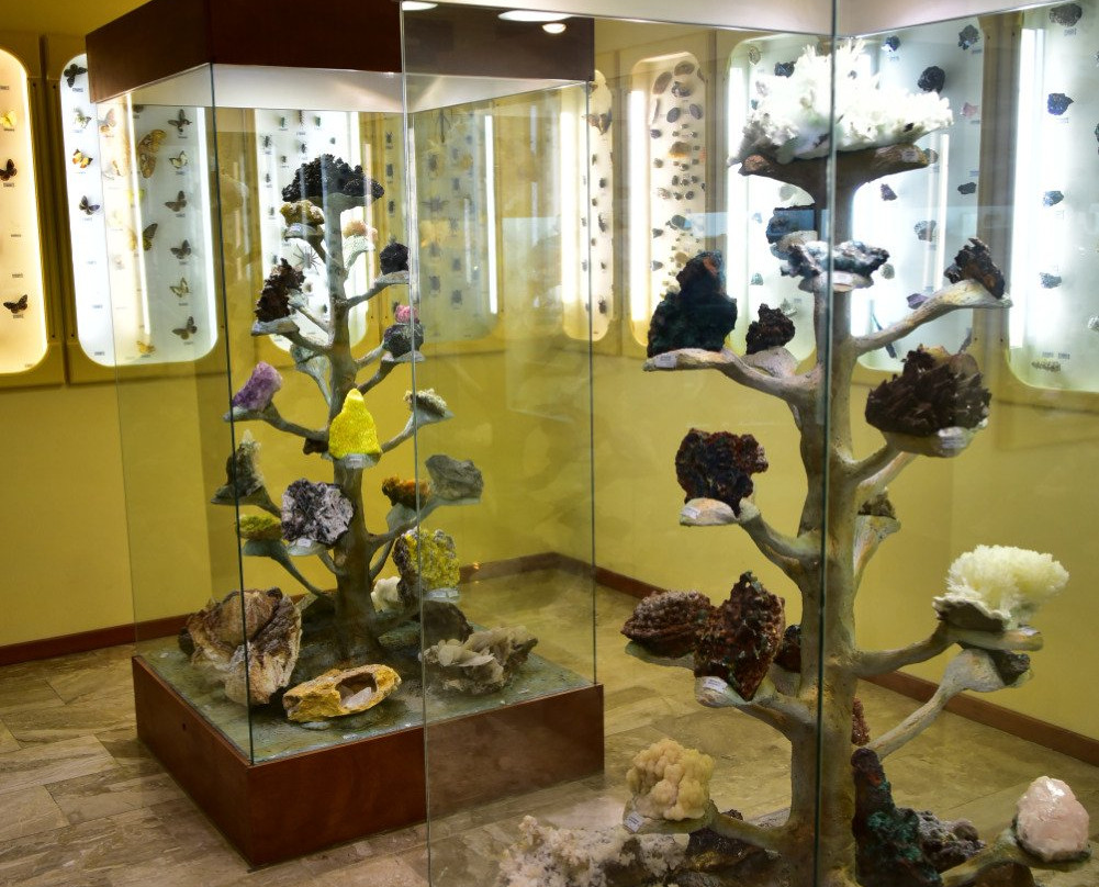 Kotsiomitis Natural History Museum-Ligourio必去景点