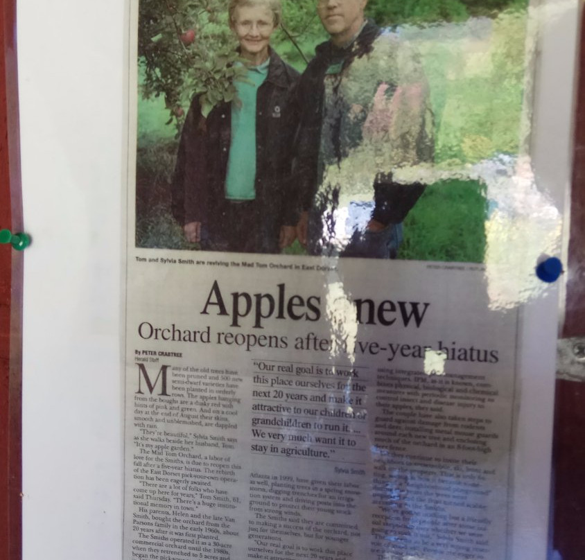 Mad Tom Orchard-East Dorset必去景点