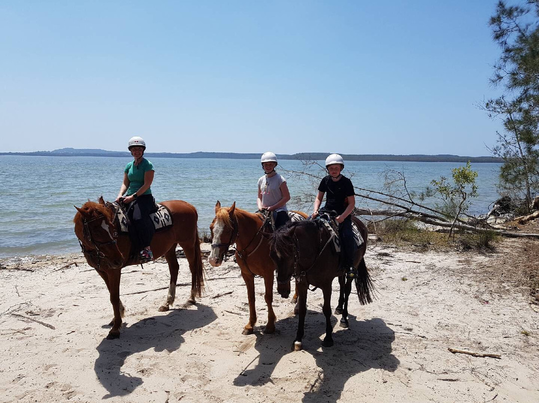 Noosa Horse Riding景点图片