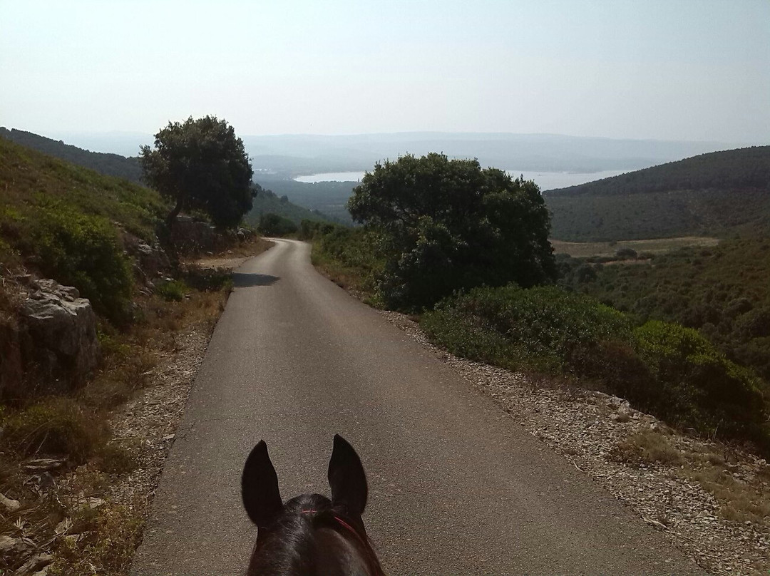 Asd Centro Ippico New Farm-阿尔盖罗必去景点