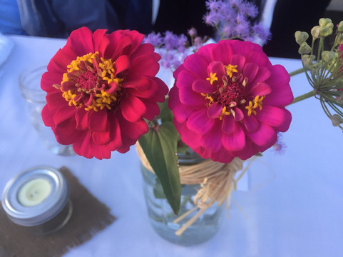 Lee's Healthy Cooking Classes-教堂山必去景点