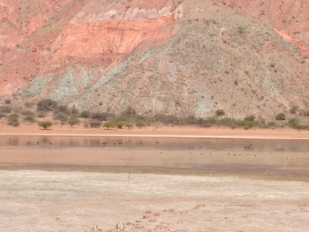 Laguna de Volcan-Volcan必去景点