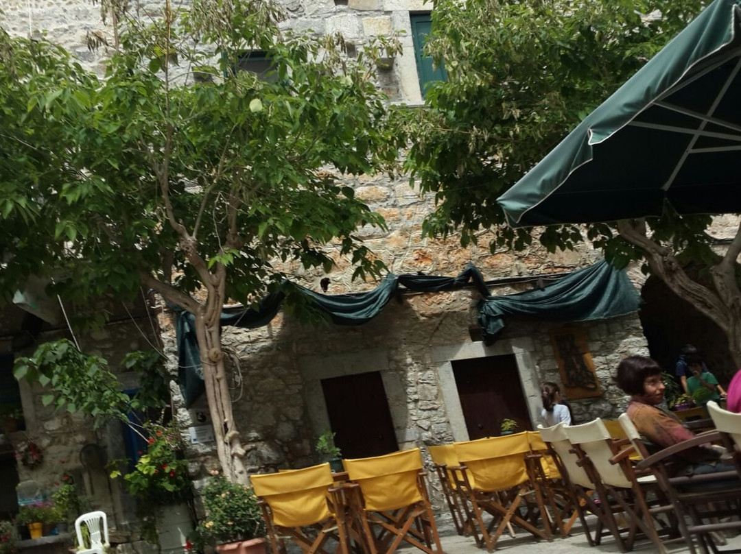 Masticulture-Mesta必去景点