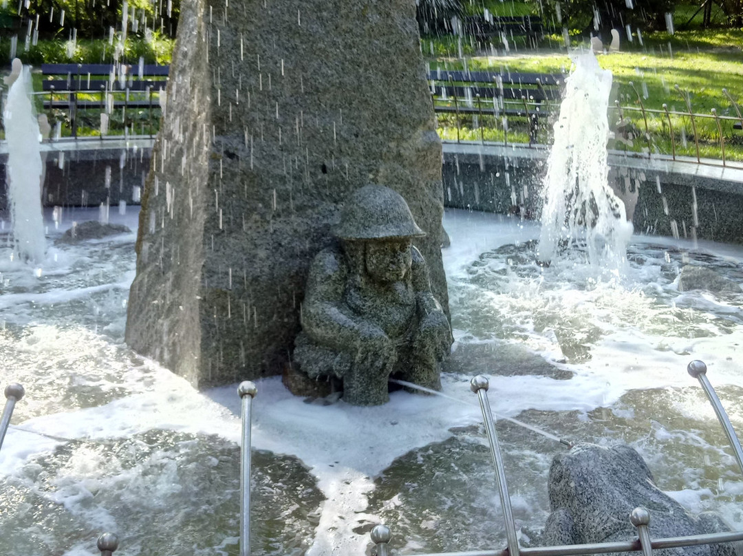Park z Fontanną Solankową景点图片