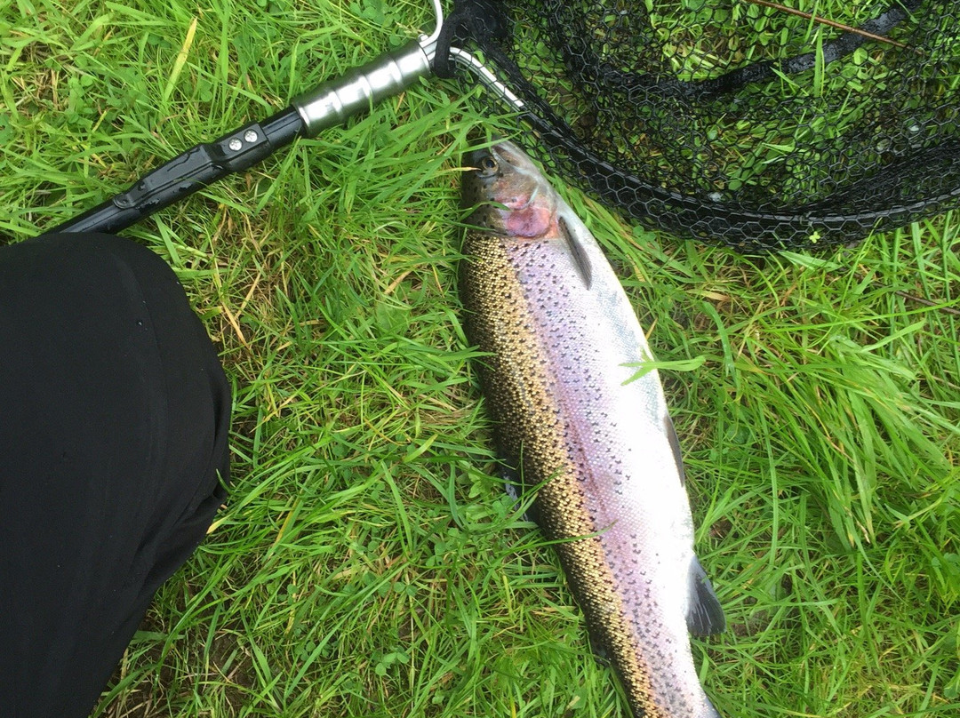 Tavistock Trout Fishery景点图片