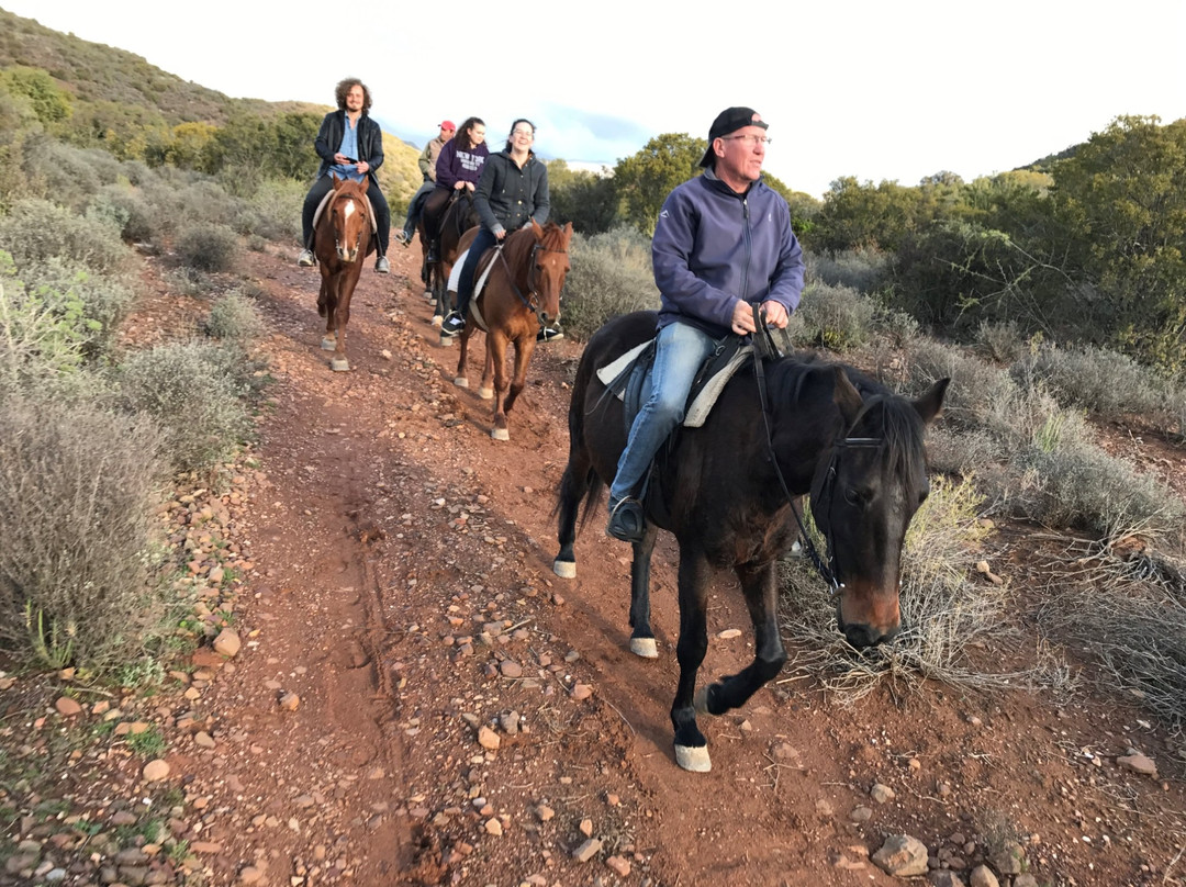 De Rust Horseriding - Klein Karoo Horse Adventures-德鲁必去景点