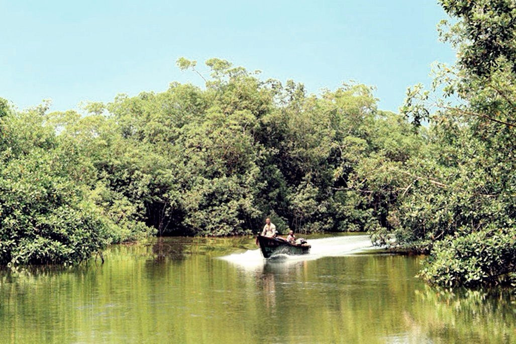 Akanda National Park景点图片