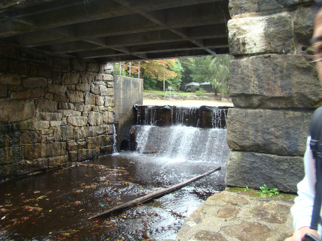Willard Brook State Forest景点图片