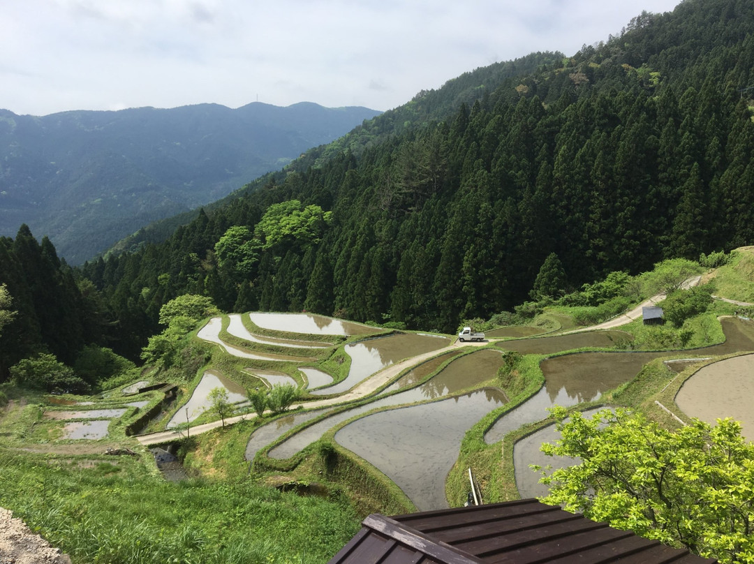 Kashihara Rice Terraces-上胜町必去景点