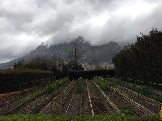 Womerus-斯泰伦博斯必去景点