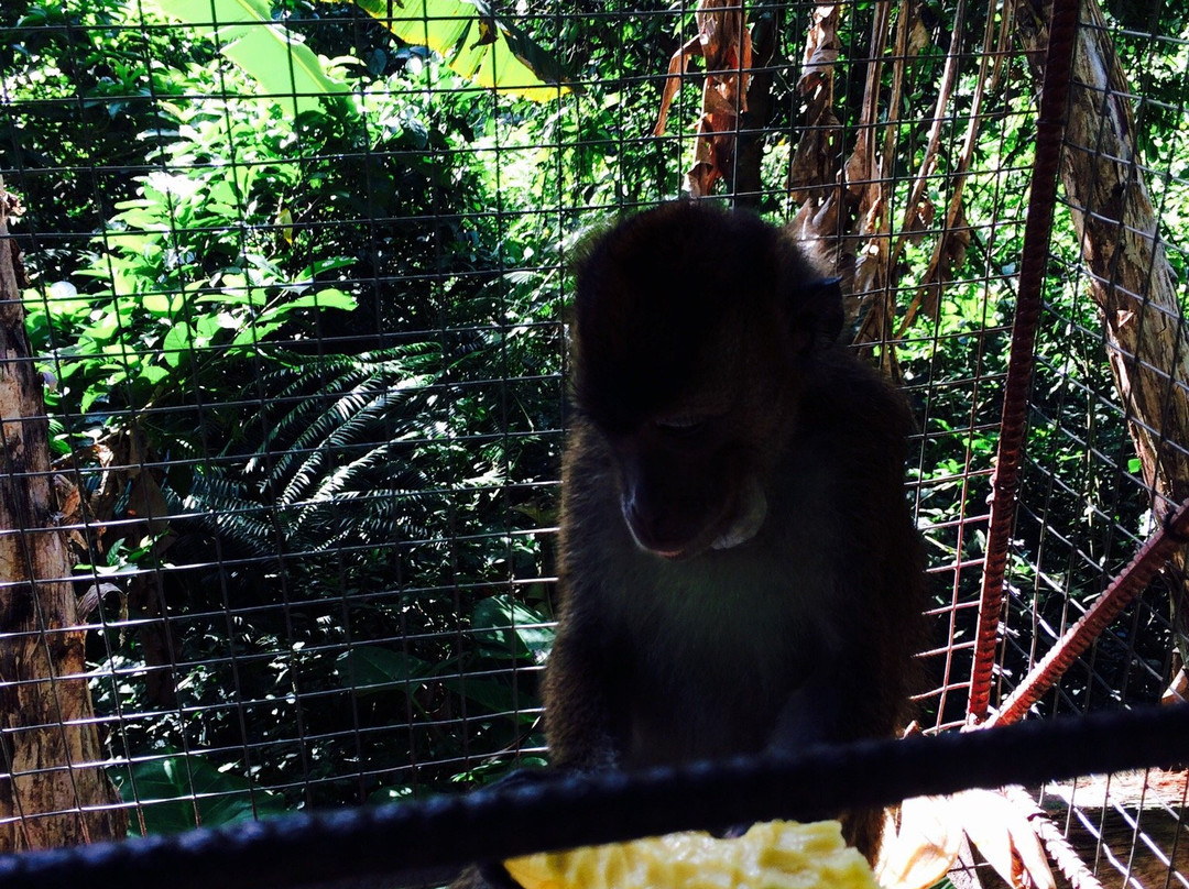 Togonan Falls-Mainit必去景点