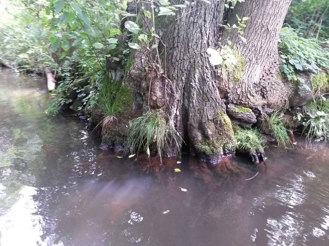 Radduscher Naturhafen-Vetschau必去景点