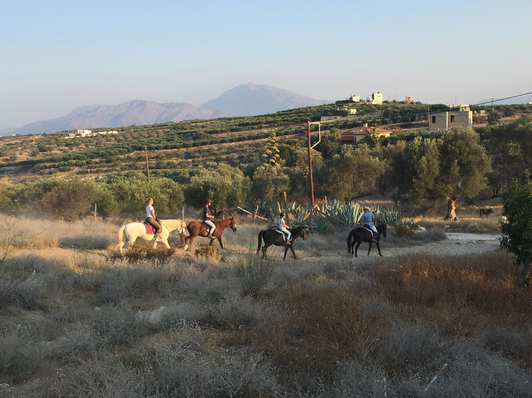 Horsefarm Melanouri-Pitsidia必去景点