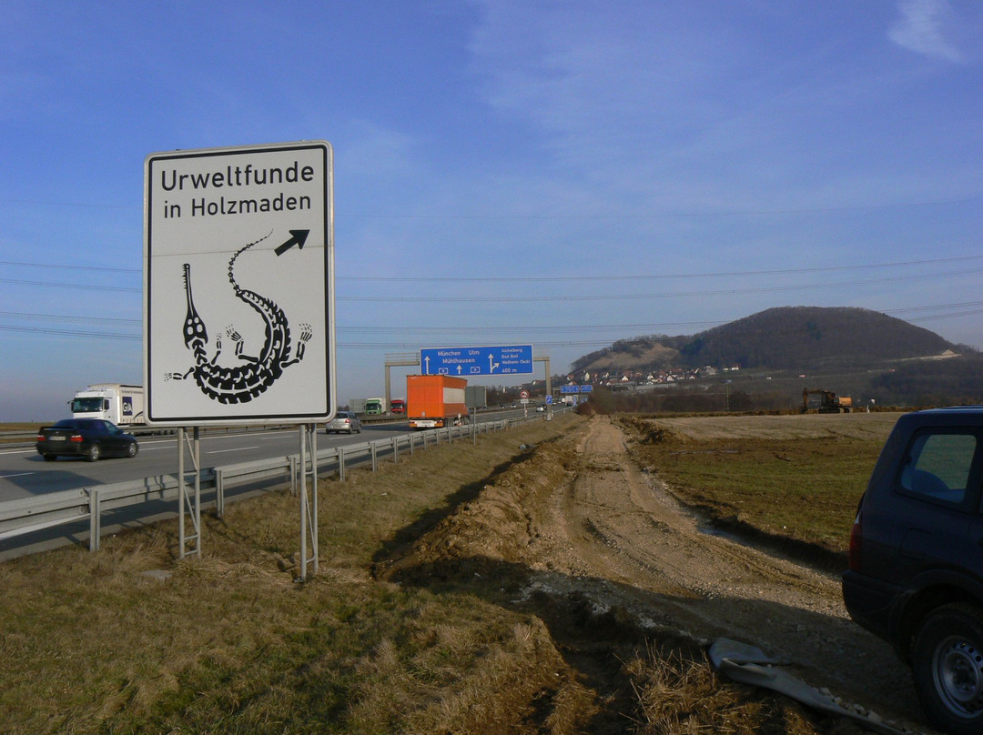 Urwelt Museum Hauff景点图片
