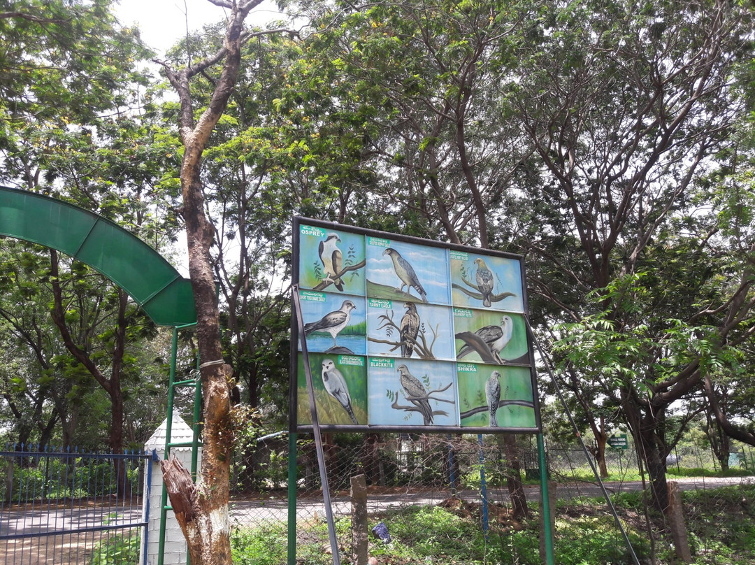 Pocharam Reservoir景点图片