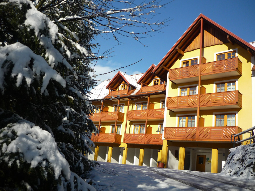 Gasthof Hotel Schmied主图