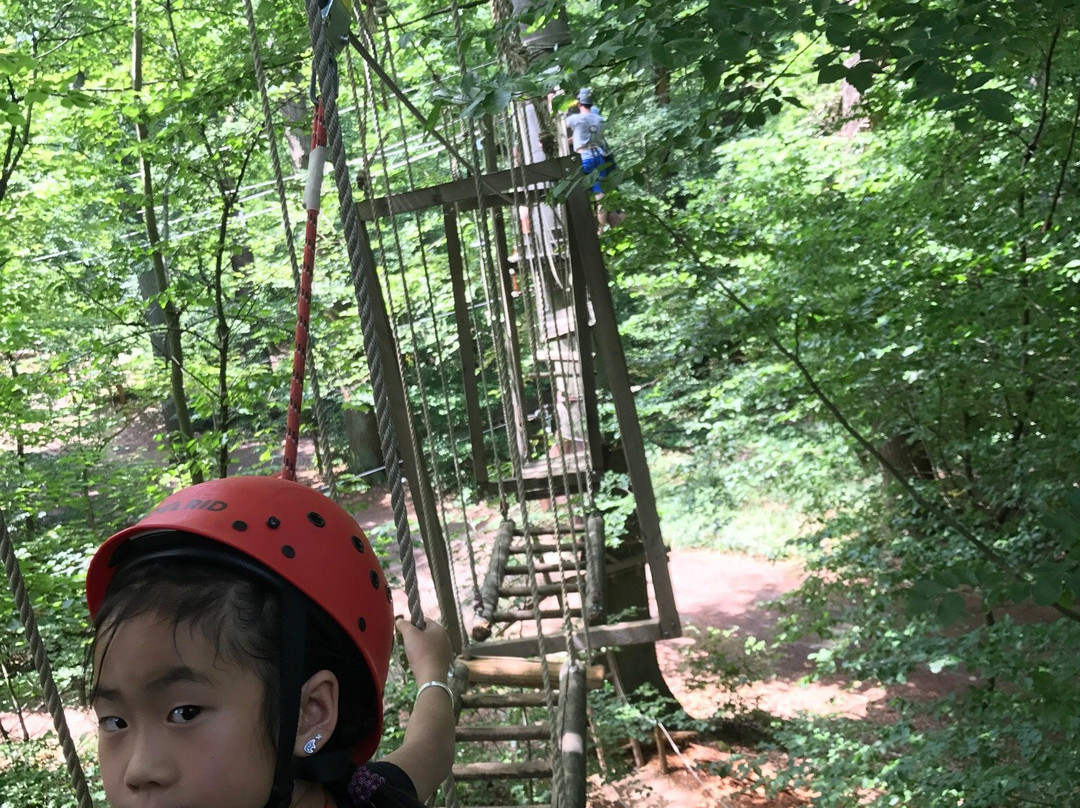 Kletterwald Neroberg-威斯巴登必去景点